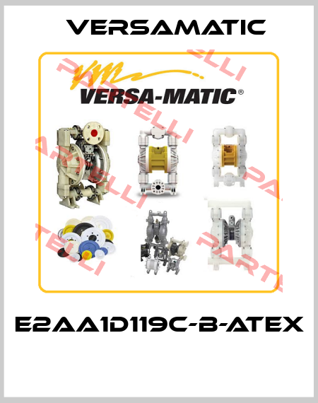 E2AA1D119C-B-ATEX     VersaMatic