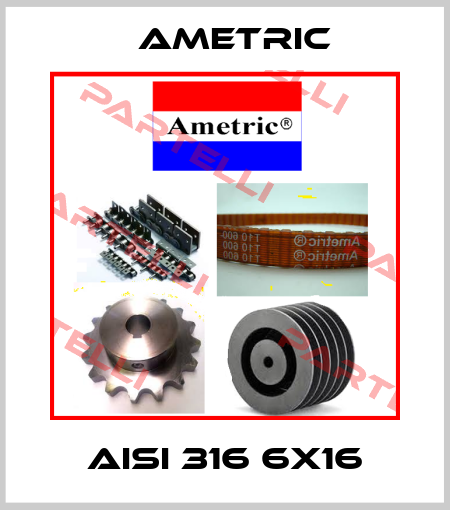 AISI 316 6X16 Ametric