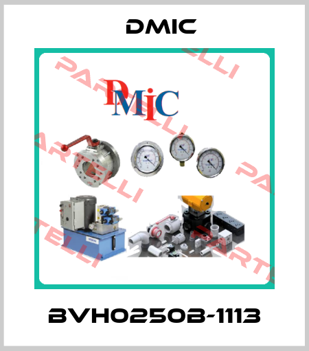 BVH0250B-1113 DMIC