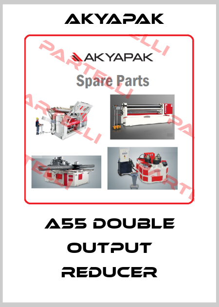 A55 double output reducer Akyapak