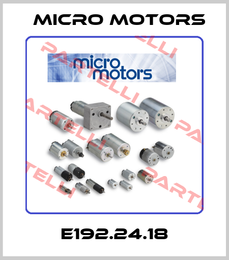 E192.24.18 Micro Motors