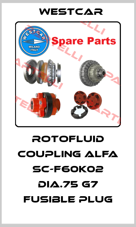 ROTOFLUID COUPLING ALFA SC-F60K02 DIA.75 G7 FUSIBLE PLUG Westcar