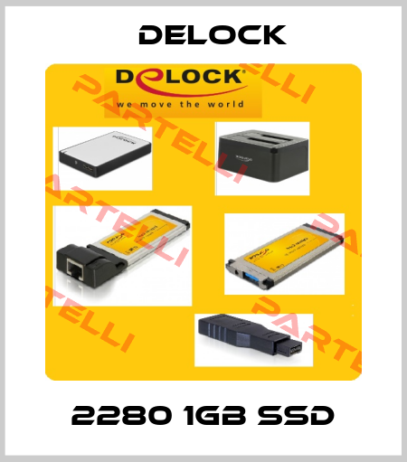 2280 1GB SSD Delock