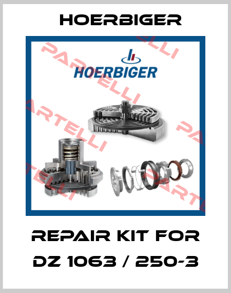 repair kit for DZ 1063 / 250-3 Hoerbiger