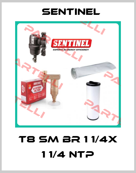 T8 SM BR 1 1/4x 1 1/4 NTP Sentinel