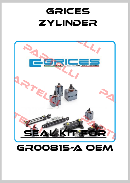 seal kit for GR00815-A OEM Grices Zylinder