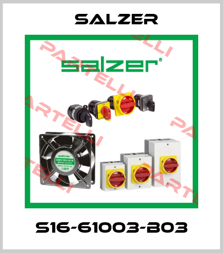 S16-61003-B03 Salzer