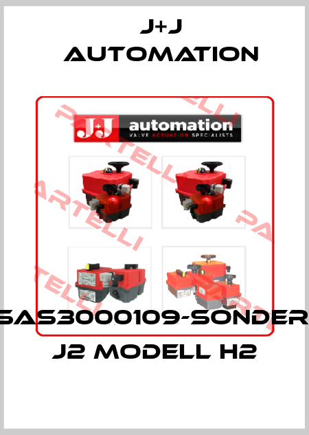 SAS3000109-SONDER, J2 Modell H2 J+J Automation