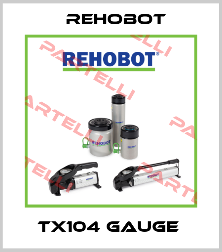 TX104 GAUGE  Nike Hydraulics / Rehobot