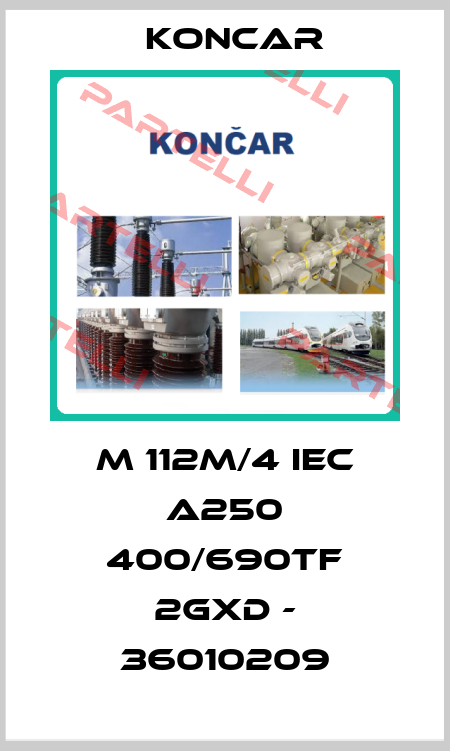 M 112M/4 IEC A250 400/690TF 2GXD - 36010209 Koncar