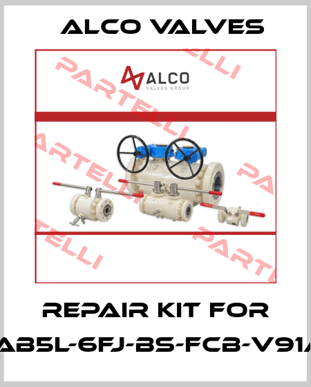 repair kit for 13DD1AB5L-6FJ-BS-FCB-V91A-269 Alco Valves