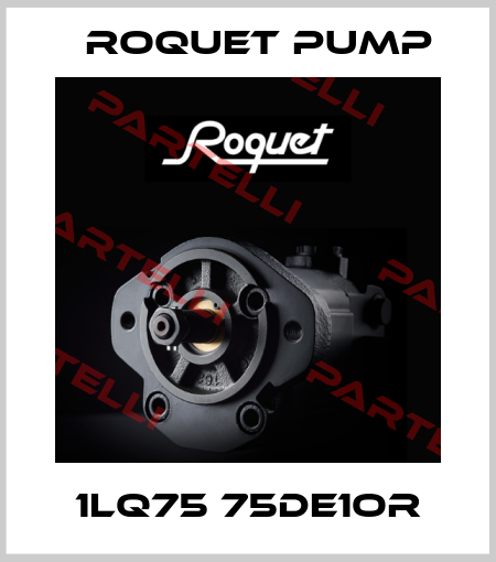 1LQ75 75DE1OR Roquet pump