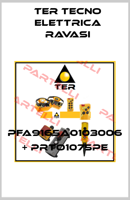 PFA9165A0103006 + PRTO1075PE Ter Tecno Elettrica Ravasi