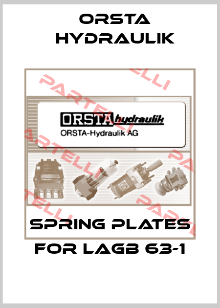 spring plates for LAGB 63-1 Orsta Hydraulik