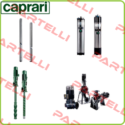 H309002T2B32801 CAPRARI 