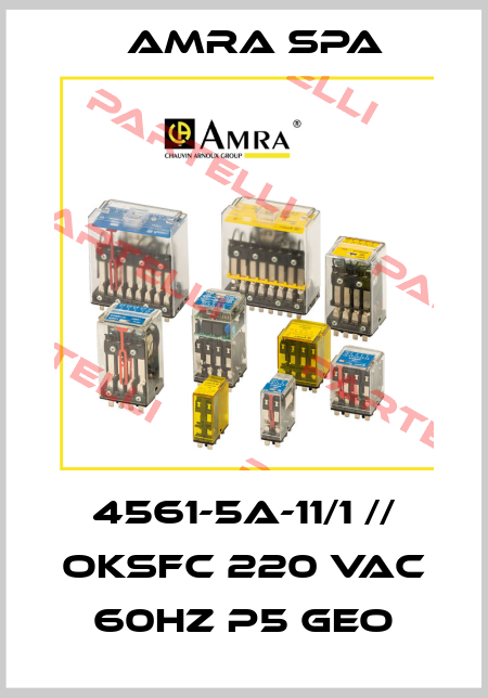4561-5A-11/1 // OKSFC 220 Vac 60Hz P5 Geo Amra SpA
