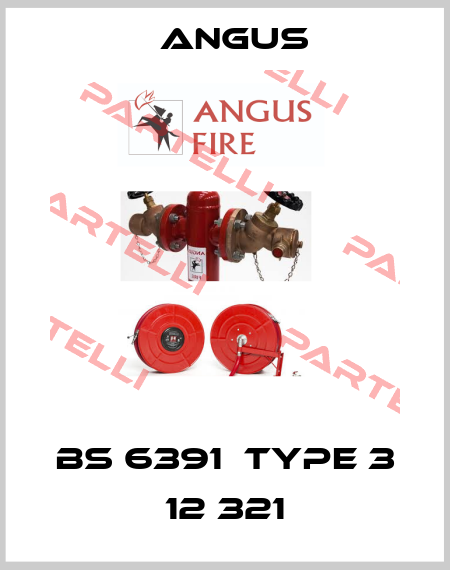 bs 6391  type 3 12 321 Angus