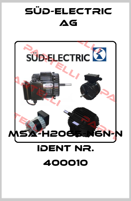MSA-H2065-N6N-N   Ident Nr. 400010 SÜD-ELECTRIC AG