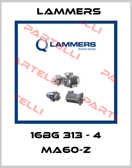 16BG 313 - 4 MA60-Z Lammers