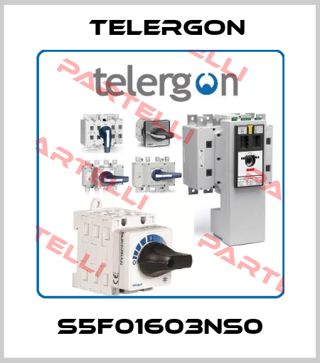 S5F01603NS0 Telergon
