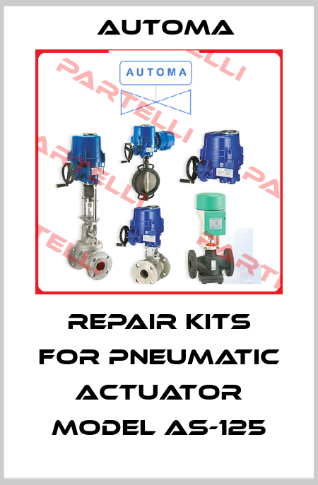 Repair kits for Pneumatic Actuator Model AS-125 AUTOMA