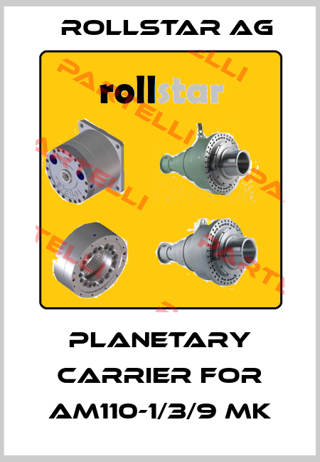 Planetary carrier for AM110-1/3/9 MK Rollstar AG