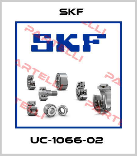 UC-1066-02  Skf