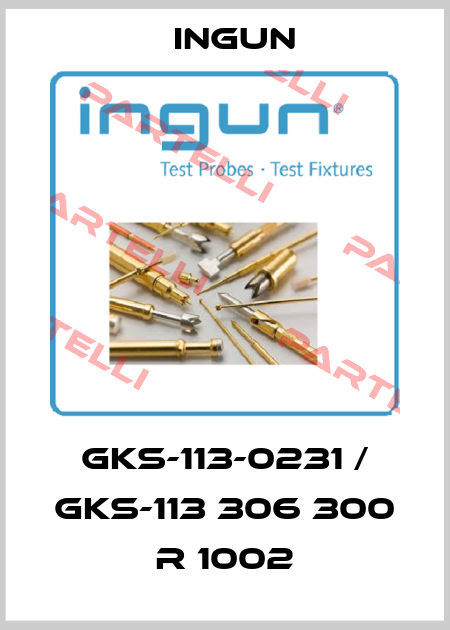 GKS-113-0231 / GKS-113 306 300 R 1002 Ingun