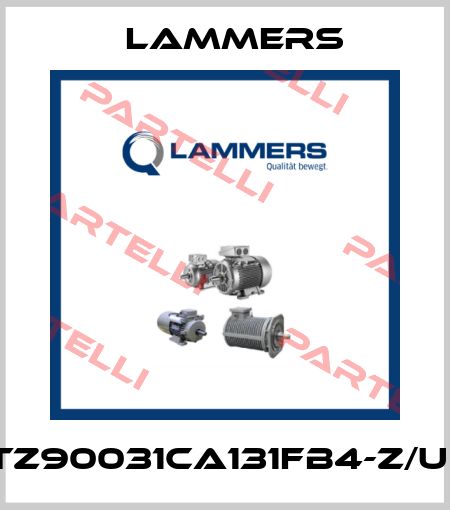 1TZ90031CA131FB4-Z/UD Lammers