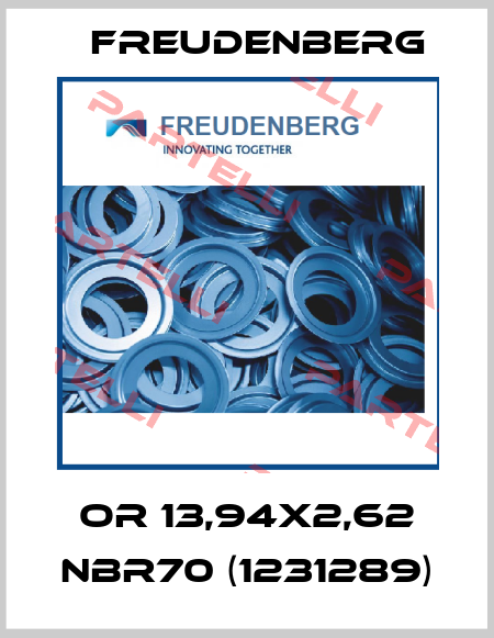 OR 13,94x2,62 NBR70 (1231289) Freudenberg