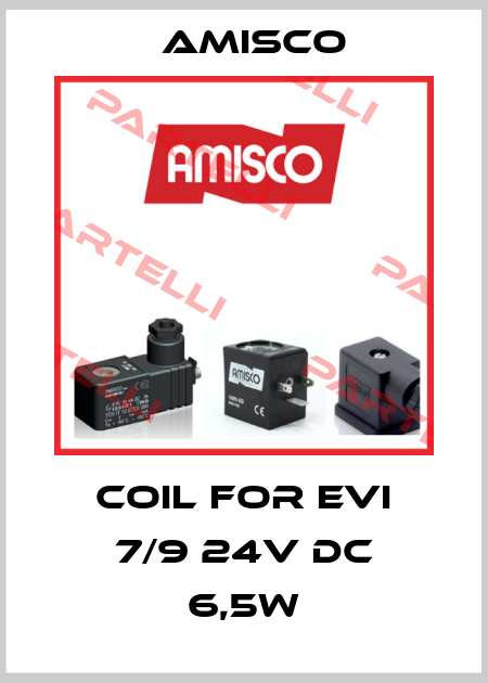 Coil for EVI 7/9 24V DC 6,5W Amisco