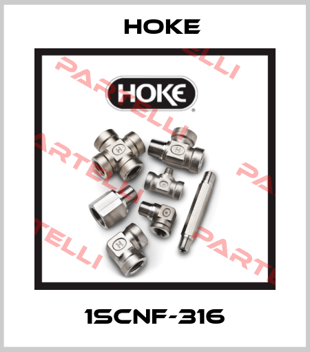 1SCNF-316 Hoke