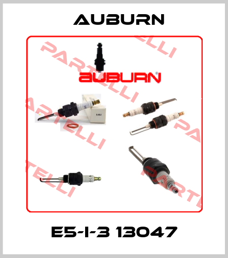 E5-I-3 13047 Auburn