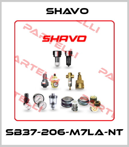 SB37-206-M7LA-NT Shavo