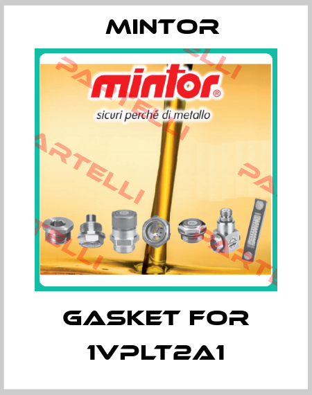 gasket for 1VPLT2A1 Mintor