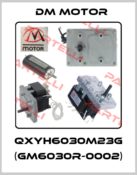 QXYH6030M23G (GM6030R-0002) DM Motor