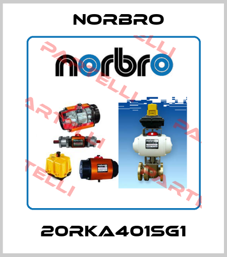 20RKA401SG1 Norbro