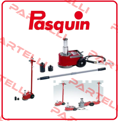 Spare parts kit for P 102 F Pasquin