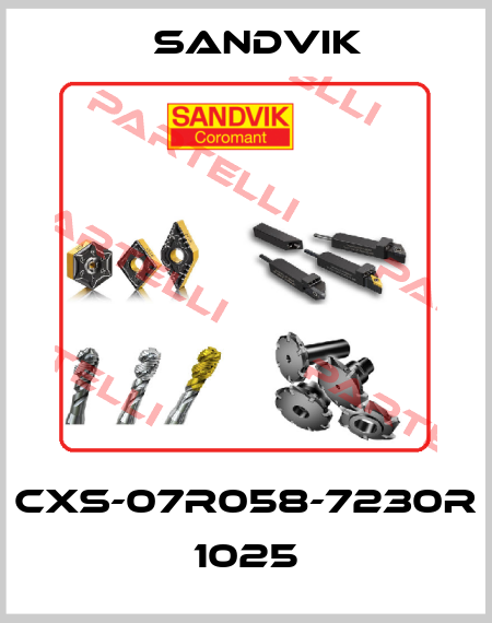 CXS-07R058-7230R 1025 Sandvik
