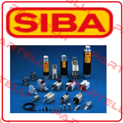 20A  10*38MM  690V  E1014580 Siba