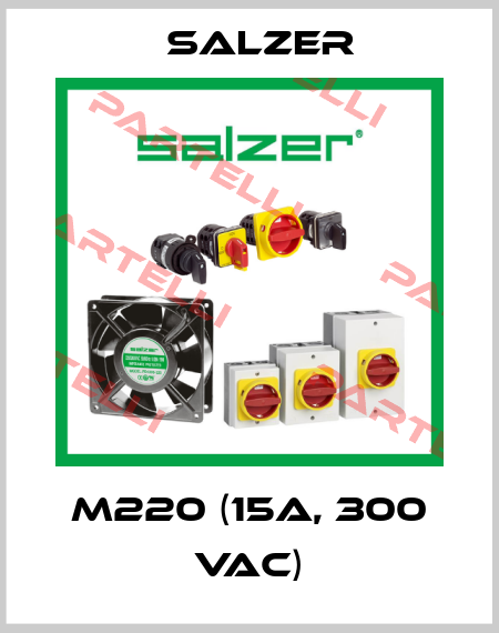 M220 (15A, 300 VAC) Salzer