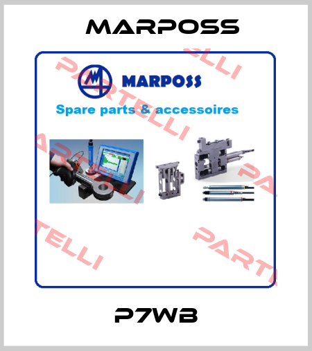P7WB Marposs