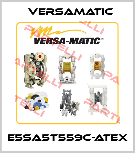 E5SA5T559C-ATEX VersaMatic