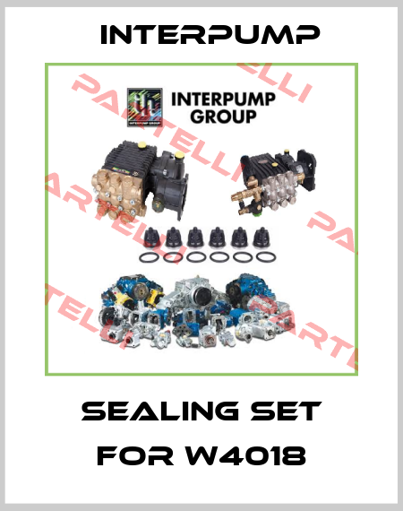 Sealing set for W4018 Interpump