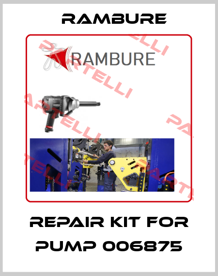 Repair kit for pump 006875 Rambure