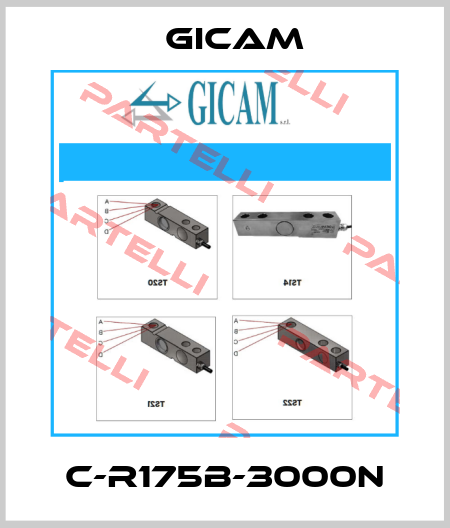C-R175B-3000N Gicam