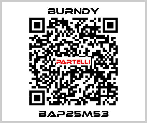 BAP25M53 Burndy