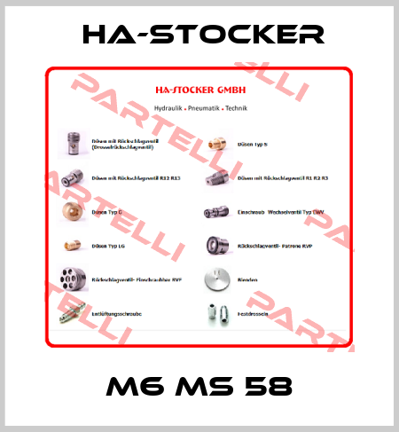 M6 MS 58 HA-Stocker 