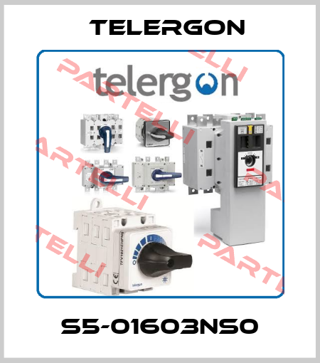 S5-01603NS0 Telergon