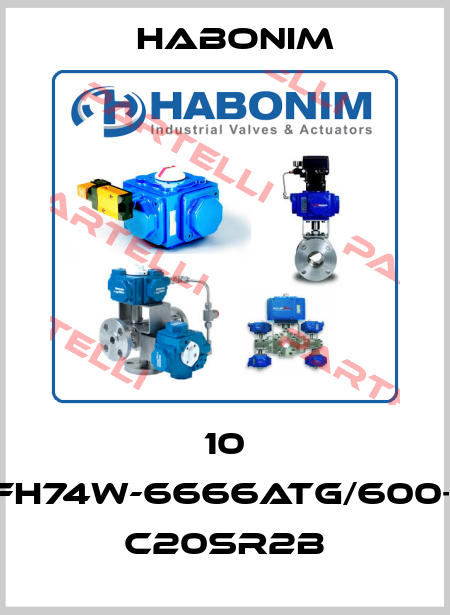 10 FH74W-6666ATG/600+ C20SR2B Habonim